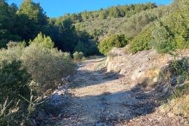 Poljoprivredno zemljište sa kamenom kućicom, uvala Gršćica na otoku Korčula, Blato, Terrain