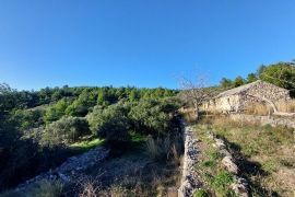 Poljoprivredno zemljište sa kamenom kućicom, uvala Gršćica na otoku Korčula, Blato, Zemljište