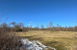 ZEMLJIŠTE NADOMAK PERUŠIČA U PRIRODI 11035M2 GRAĐEVINDKO !!, Perušić, Terreno