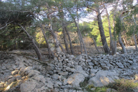 Otok Krk - Prodaja poljoprivrednog zemljišta, Krk, Terrain