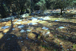 Otok Krk - Prodaja poljoprivrednog zemljišta, Krk, Terreno