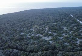 OTOK VIR - Zemljište u zelenoj zoni!, Vir, Arazi