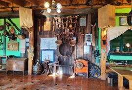 Restoran-seosko imanje-smještajni objekt 360 m2+30.000 m2, Jalžabet, Ticari emlak