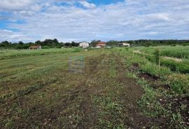 Poljoprivredno zemljište PRODAJA - Biograd na Moru 2.886 m2, Biograd Na Moru, Terra