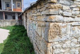 MASLINIK i VOĆNJAK s obnovljenom kamenom kućom PRODAJA!, Benkovac, Γη