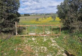 Poljoprivredno zemljište PRODAJA - Biograd na Moru 4.034 m2, Biograd Na Moru, Terrain