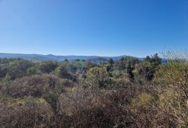 Zemljište prodaja Turanj 4938 m2, Sveti Filip I Jakov, Land