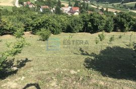 Kuća prodaja KALNIK s 24000 m2 zemljišta, Kalnik, Дом