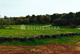 Štinjan prodaje se građevinsko zemljište u T2 zoni, Pula, Arazi