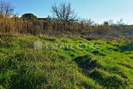 Istra ,Pula građevinska parcela, Pula, Terrain