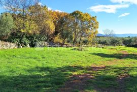 Veliko građevinsko-poljoprivredno zemljište 8620 m2, Marčana, Land