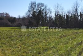 Na prodaju poljoprivredno zemljište 6517m2, na potezu od pulskog aerodroma prema Valturi., Ližnjan, أرض