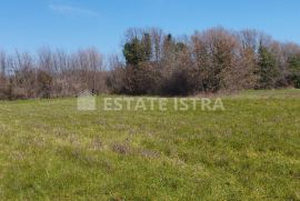 Na prodaju poljoprivredno zemljište 6517m2, na potezu od pulskog aerodroma prema Valturi., Ližnjan, Terreno