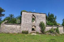 Kamena kuća za renovaciju na čak 33099 m2, Vodnjan, بيت