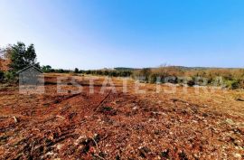 Prodaje se poljoprivredno zemljište površine 7145 m2 nedaleko od Rovinja, Rovinj, Γη