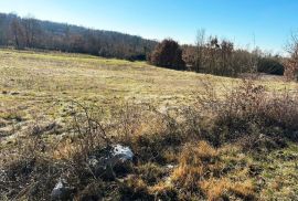 ISTRA, TINJAN - Građevinsko zemljište na rubu naselja, Tinjan, Terrain