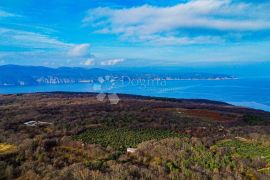 Otok Krk prekrasno imanje  maslinik sa kućom, Krk, Terrain