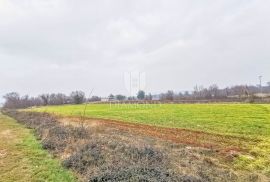 Građevinsko zemljište poslovne namjene u okolici Barbana!, Barban, Tierra