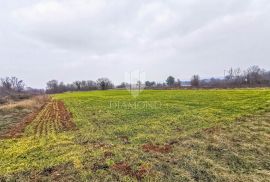 Građevinsko zemljište poslovne namjene u okolici Barbana!, Barban, أرض