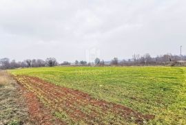 Građevinsko zemljište poslovne namjene u okolici Barbana!, Barban, Tierra