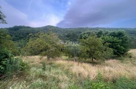 ISTRA, SOVINJAK - RUŠEVINA + ZEMLJIŠTE 57.356 m2, Buzet, Terrain