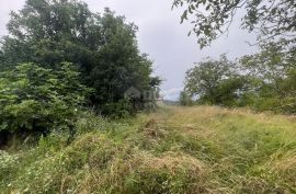 ISTRA, SOVINJAK - RUŠEVINA + ZEMLJIŠTE 57.356 m2, Buzet, Land