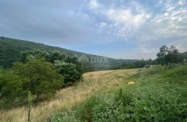 ISTRA, SOVINJAK - RUŠEVINA + ZEMLJIŠTE 57.356 m2, Buzet, Zemljište