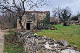 ISTRA, MOTOVUN, OKOLICA - Dvije kuće za adaptaciju s dvorištem, Motovun, House