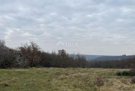 ISTRA,BRTONIGLA - Kompleks zemljišta na jedinstvenoj lokaciji, Brtonigla, Land