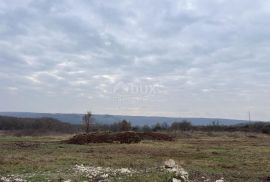 ISTRA,BRTONIGLA - Kompleks zemljišta na jedinstvenoj lokaciji, Brtonigla, Land