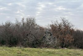 ISTRA,BRTONIGLA - Kompleks zemljišta na jedinstvenoj lokaciji, Brtonigla, Land