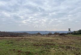 ISTRA,BRTONIGLA - Kompleks zemljišta na jedinstvenoj lokaciji, Brtonigla, Terrain