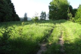 GORSKI KOTAR, FUŽINE-građevinsko zemljište 3100 m2 sa idejnim projektom, prilika!, Fužine, Terrain