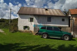 Brinje, seosko imanje sa kućom i 13580 m2 zemlje, Brinje, Famiglia