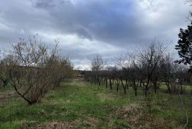 ISTRA,KRŠAN - Prostrano građevinsko zemljište, Kršan, Land