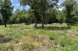 ISTRA, SV. LOVREČ - Građevinsko zemljište za izgradnju idealnog doma, Sveti Lovreč, Terrain