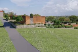 ISTRA, MOTOVUN, OKOLICA - Projekt za izgradnju 4 vile s bazenom, Karojba, Земля
