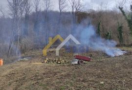 Građevinsko zemljište - Bednja, Bednja, Terreno