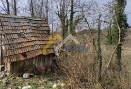 Građevinsko zemljište - Bednja, Bednja, Terreno