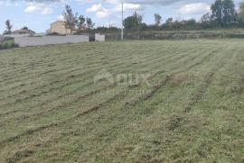 ISTRA,BARBAN - Građevinsko zemljište s građevinskom dozvolom, Barban, Zemljište