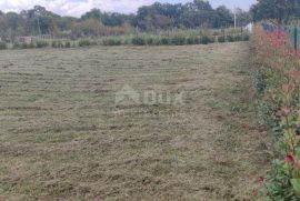 ISTRA,BARBAN - Građevinsko zemljište s građevinskom dozvolom, Barban, Land