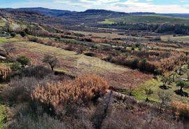 ISTRA, BUJE - Građevinsko zemljište s panoramskim pogledom, Buje, Земля