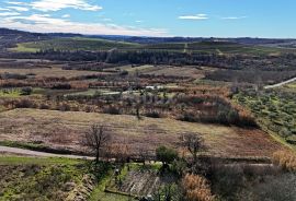 ISTRA, BUJE - Građevinsko zemljište s panoramskim pogledom, Buje, Terrain