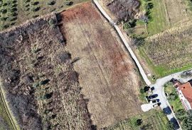 ISTRA, BUJE - Građevinsko zemljište s panoramskim pogledom, Buje, Terreno