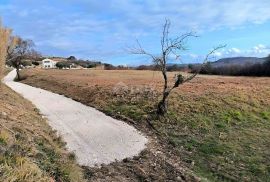 ISTRA, BUJE - Građevinsko zemljište s panoramskim pogledom, Buje, Γη