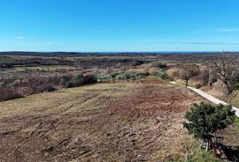 ISTRA, BUJE - Građevinsko zemljište s panoramskim pogledom, Buje, Land