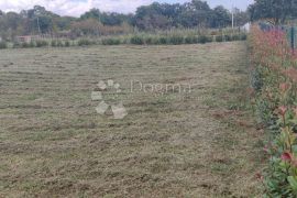 Građevinsko Zemljište s Dozvolom za Kuću s Bazenom, Barban, Land