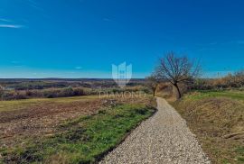 Buje! Prostrano zemljište sa panoramskim pogledom na more!, Buje, Terrain