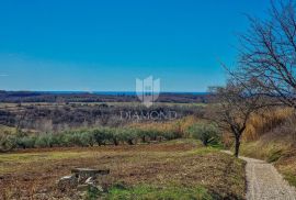 Buje! Prostrano zemljište sa panoramskim pogledom na more!, Buje, Terreno