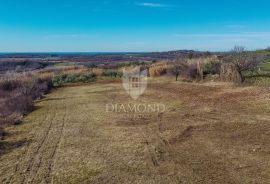 Buje! Prostrano zemljište sa panoramskim pogledom na more!, Buje, Land